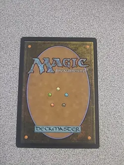 Magic: The Gathering Heroic Intervention Lightly Played - Image 2