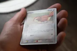 Pidgey 73/112 Non-Holo Pokemon TCG World Championship 2006 (MP) - Image 3