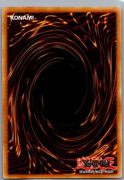 Dark Magician Girl the Dragon Knight DRL3-EN044 Unleashed - Yu Gi Oh - NM - Image 2