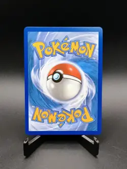 Pokemon TCG First Partner Illustration Collection - Gen 7 Alolan Starter Set - Image 5