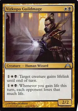 Vizkopa Guildmage Foil U Gatecrash 206 LP - Image 1
