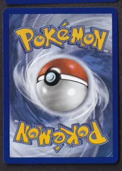Litten 044 Holo Promo ME: Mega Evolution Promo Pokemon Lightly Played - Image 2
