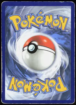 Litten - SM23 Sun & Moon Promo - Holo Pokemon HP (Promo) - Image 2