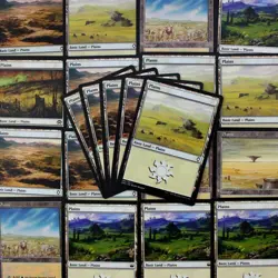 MTG Basic Land Pack (Magic The Gathering) - 25 Basic Plains NM - Image 1