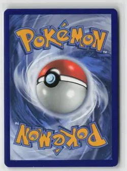 Pikachu V SWSH145 Holo Promo Sword & Shield Promo Pokemon NM - Image 2