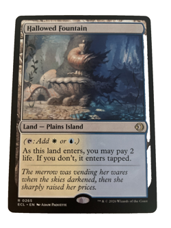 Hallowed Fountain Lorwyn Eclipsed Regular Rare Card MTG NM - Shock Land - Image 1
