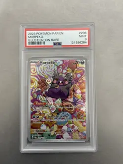 Morpeko, 206/182, SV04: Paradox Rift, Illustration Rare Holo, EN, 2023, PSA 9 - Image 2