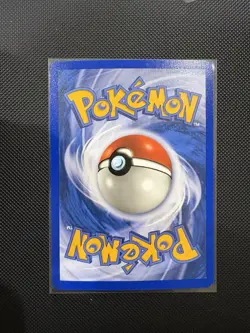 Teddiursa - 109/144 - Pokemon Skyridge Reverse Holo Rare Card NM - Image 4