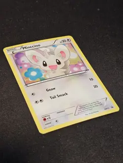 Pokemon TCG Minccino BW13 Black Star Promo Near Mint (holo) - Image 2