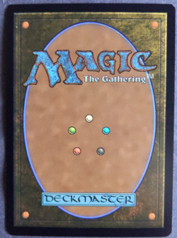 MTG Hidden Lair Foil | Marvel Super Heroes | NM | Rare Land | Foil | - Image 5