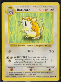 Raticate Base Set Shadowless 40/102 MP Pokemon TCG Unlimited Ken Sugimori - Image 1