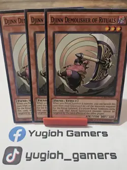 Yu-Gi-Oh Djinn Demolisher Of Ritualas X3 DUEA 1st Edition Common Light Played - Image 1
