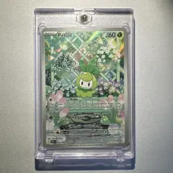 Petilil 091/086 Sv: Black Bolt Holo Pokemon TCG Illustration Rare Card - Image 1