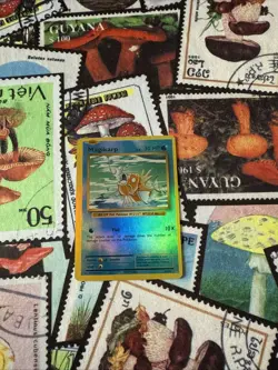 POKEMON MAGIKARP lv.8 33/108 XY EVOLUTIONS COMMON REVERSE HOLO - Image 2