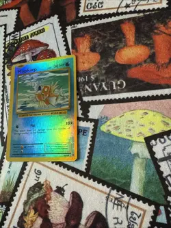 POKEMON MAGIKARP lv.8 33/108 XY EVOLUTIONS COMMON REVERSE HOLO - Image 3