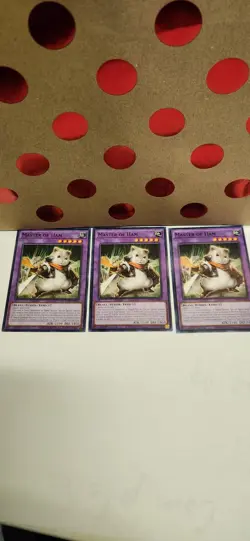 Yugioh! Master of Ham x3 PHNI-EN040 Common 1st Ed NM - Image 1