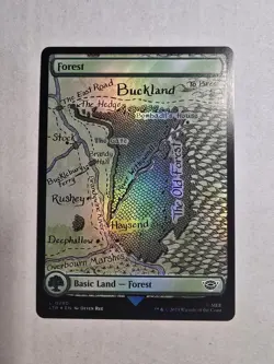 Forest (0280) Universes Beyond: the Lord of the Rings: Tales of Middle-Earth... - Image 1