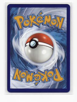 Pokemon TCG Bibarel GG25/GG70 Crown Zenith: Galarian Gallery Holo - Image 2