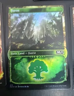 Collection of 1 Each Core Set 2021 Basic Lands MTG Showcase Foil Lightly Played - Image 3
