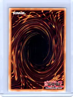 D.D. Assailant Unlimited Rare Legendary Collection 3: Yugi's World LCYW-EN217 LP - Image 2
