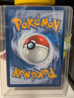 Pokemon Johto Starters Full Art Promo Lot Chikorita Cyndaquil Totodile MEP NM - Image 1