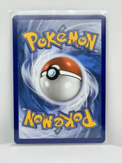 Trainer Card Surfing Beach 114/086 Chaos Rising Rare Holo Full Art EN - Image 2