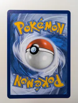 Pokemon TCG First Partner Series 2 Illustration Collection Unova Starters Gen 5 - Image 3