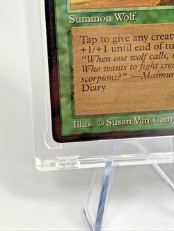 VINTAGE ARABIAN NIGHTS - Wyluli Wolf (Light) - MTG Magic the Gathering Card - Image 3