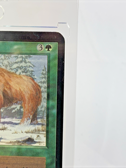 VINTAGE ALPHA - War Mammoth - MTG Magic the Gathering Card in Magnetic Holder - Image 5