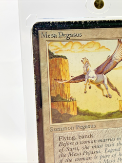 VINTAGE ALPHA - Mesa Pegasus - MTG Magic the Gathering 1993 Card in Holder - Image 2