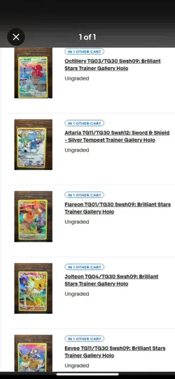 Bound 2 Be Shop Pokemon Custom Bundle flenman - Image 2