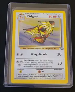 TCG Pidgeot 8/64 Holo Jungle Unlimited 1999 LP pokemon 🔥🔥🔥 - Image 1