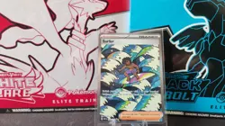 Pokemon TCG - Ascended Heroes - SIR Surfer - 293/217 - Image 1