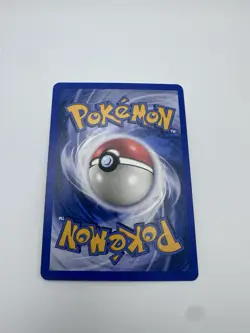 Nintendo Pokemon TCG Ursaring 110/144 Skyridge 2003 English Holo Rare 80HP - Image 2