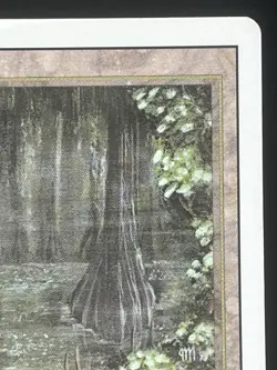 MTG x1 Bayou Dual Land Revised Rare (LP/MP) - Image 4