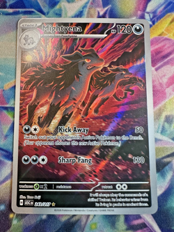 Pokemon Card Mightyena 243/217 Ascended Heroes Illustration Rare Holo Near Mint - Image 1