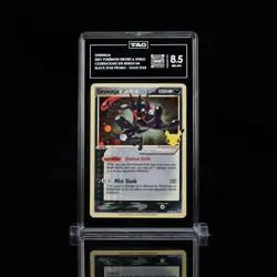 TAG 8.5 NM MT+ - GRENINJA - GOLD STAR SWSH144 - 2021 Pokemon Celebrations Promo - Image 3