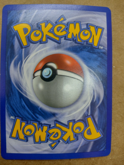 Pokemon Horsea Reverse EX Dragon Frontiers 50/101 Near Mint Condition - Image 2