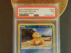 Pokemon Psyduck 024 2021 Evolving Skies Reverse Foil SWSH EN PSA 7 - Image 2