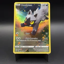 Pokemon TCG 2023 Crown Zenith Galarian Gallery Poochyena GG33/GG70 Holo ENG NM - Image 1