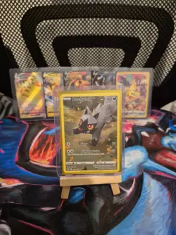 Poochyena GG33/GG70 Holo Crown Zenith Galarian Gallery Pokemon NM - Image 1