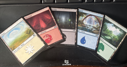 200 FOIL Magic the Gathering Basic Land Cards Lot - 40 of each type - MTG FOIL - Image 1