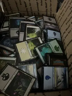 200 FOIL Magic the Gathering Basic Land Cards Lot - 40 of each type - MTG FOIL - Image 2