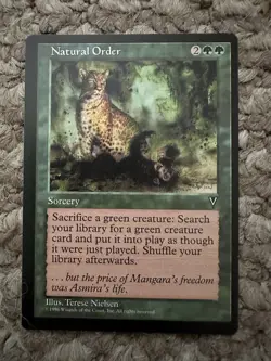 Magic: The Gathering Lot/Incomplete Visions Set with Natural Order, Necromancy - Image 5