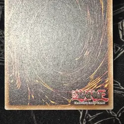 CORI-EN027 Magician of Dark Chaos - Black Chaos Starlight Extended overframe - Image 5