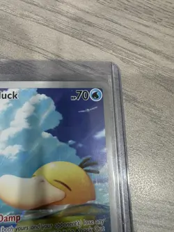 Pokemon TCG Ascended Heroes Psyduck Illustration Rare Fresh Pull - Image 3