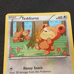 The Pokemon Company Pokemon TCG Teddiursa RC15/RC25 Holo EN 2013 HP 60 - Image 3