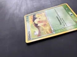 Pokemon TCG Chikorita EX Hidden Legends 55/101 Reverse Holo Common 2004 - LP+ - Image 4