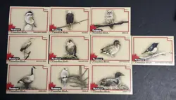 2025-26 Upper Deck Parkhurst Hockey - Canadian Birds Complete Set of 10 Cards - Image 1