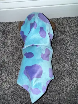 Disney Parks Disney Babies Plush Boo With Sully Swaddle Blanket Monster’s Inc. - Image 2
